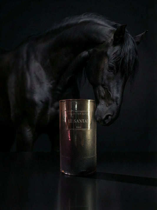 Parfum Collection Elixir - Le Santal